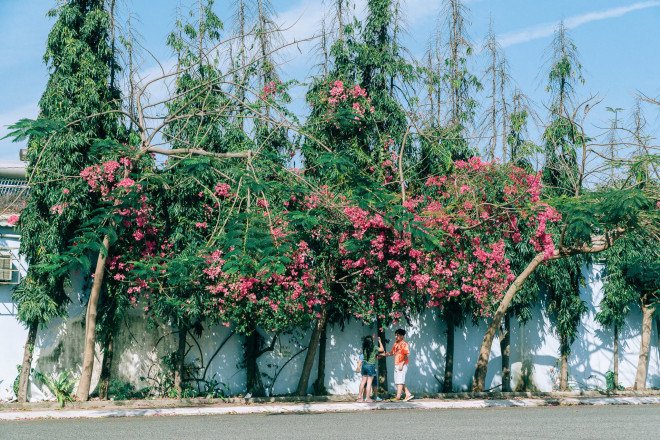 Những góc sống ảo “gây thương nhớ” ở Vũng Tàu khiến các bạn trẻ không thể rời mắt - 7