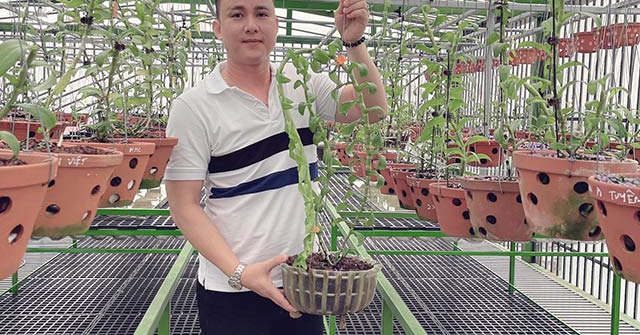 Ông chủ vườn lan 8X Tịnh Thắng chia sẻ về bí quyết thành công