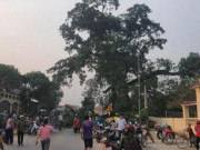 Nghệ An: Cây đa cổ thụ đổ trước cổng trường, 4 học sinh nhập viện