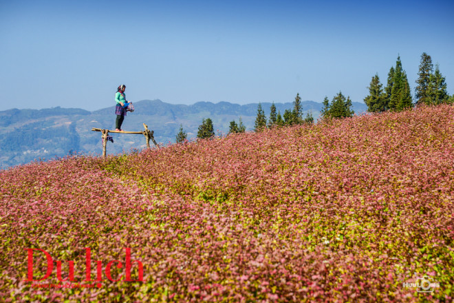 Ngất ngây miền thảo nguyên biên viễn Suôi Thầu - 3