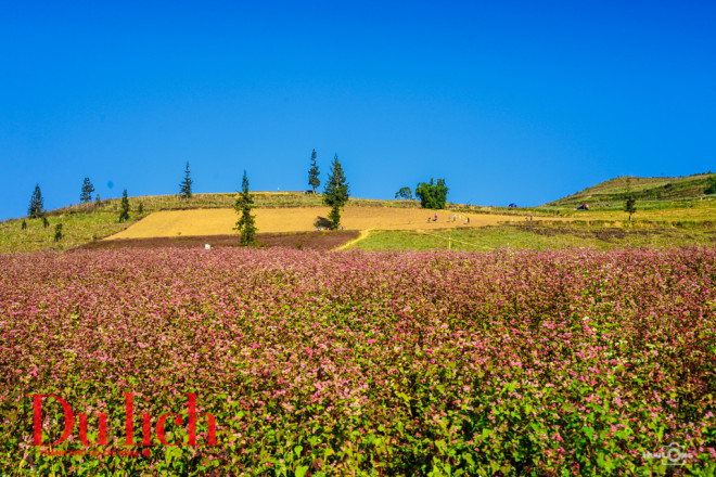 Ngất ngây miền thảo nguyên biên viễn Suôi Thầu - 7