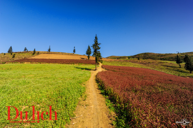 Ngất ngây miền thảo nguyên biên viễn Suôi Thầu - 8