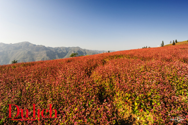 Ngất ngây miền thảo nguyên biên viễn Suôi Thầu - 9