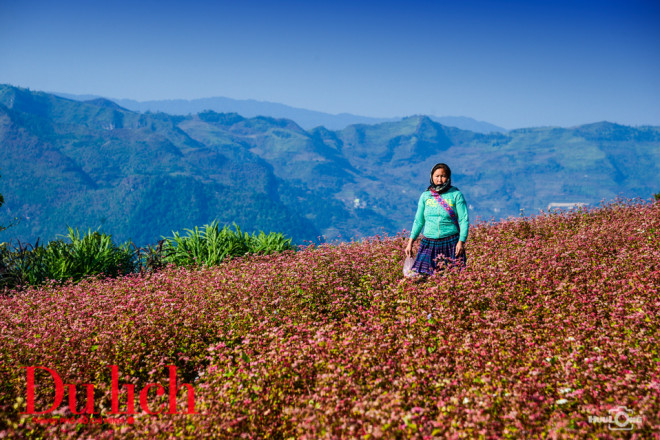 Ngất ngây miền thảo nguyên biên viễn Suôi Thầu - 14