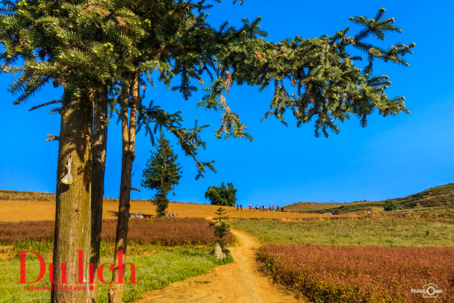 Ngất ngây miền thảo nguyên biên viễn Suôi Thầu - 17