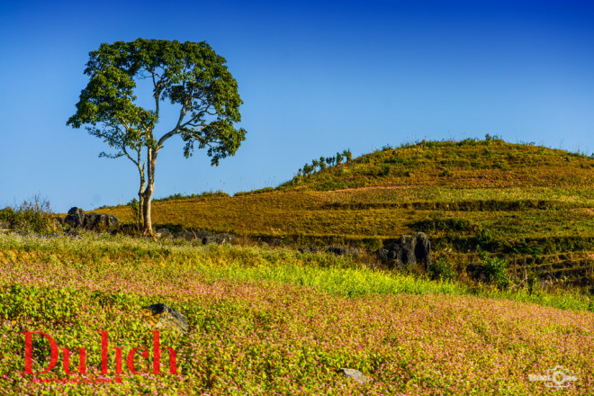 Ngất ngây miền thảo nguyên biên viễn Suôi Thầu - 18