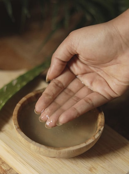 Nha đam và tinh dầu hương thảo giúp mái tóc trơn mềm - 2