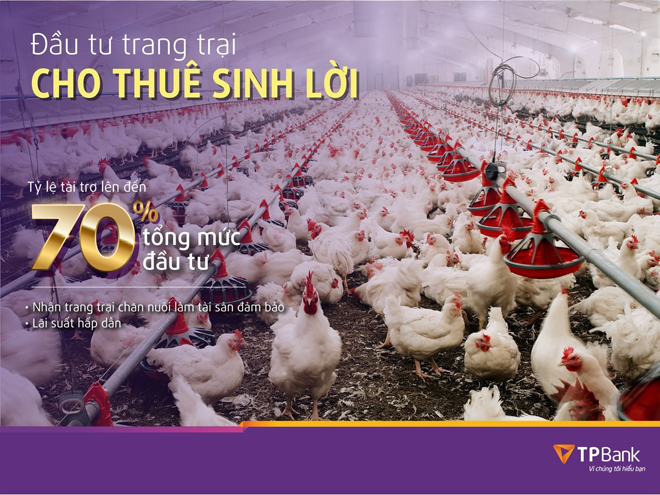 TPBank trợ lực nguồn vốn cho kinh tế trang trại chăn nuôi - 1