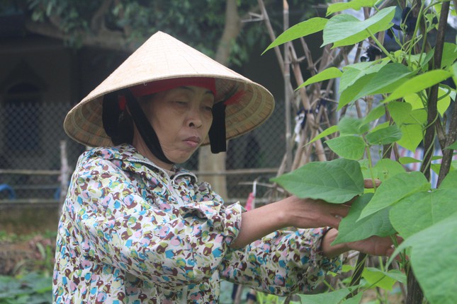 Cổ tích về một người mẹ kế - 2