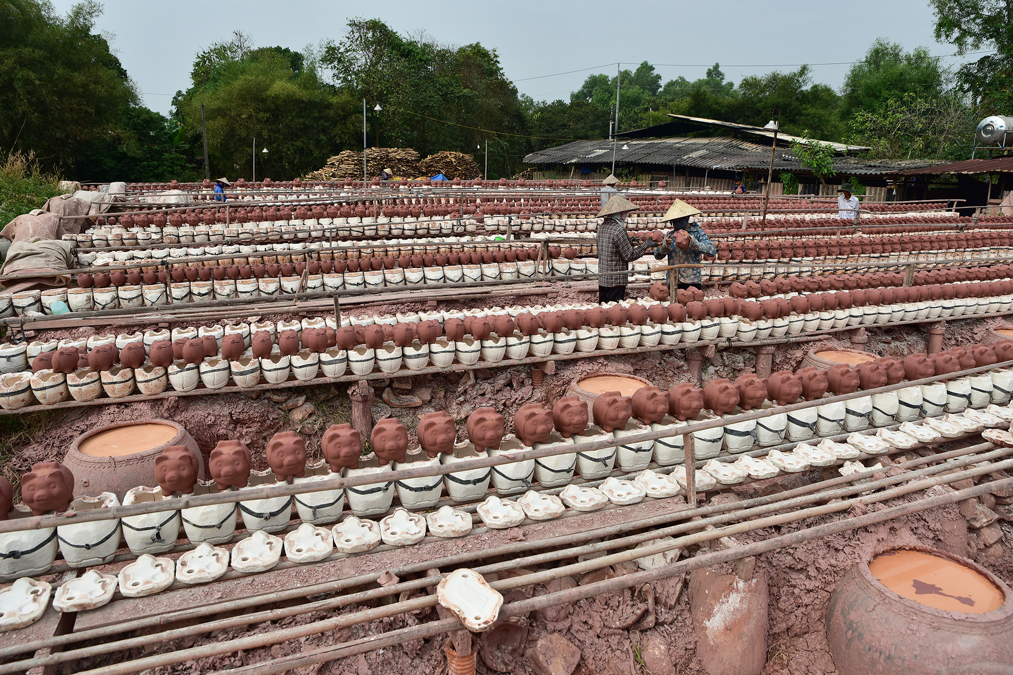 Thủ phủ heo “giữ của” tất bật làm hổ vàng ngậm ngọc đón Tết - 1