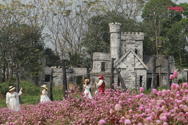 Lạc vào thảo nguyên hoa cổ tích giữa lòng Hà Nội - 3