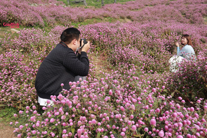 Lạc vào thảo nguyên hoa cổ tích giữa lòng Hà Nội - 4