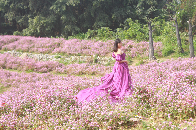 Lạc vào thảo nguyên hoa cổ tích giữa lòng Hà Nội - 5