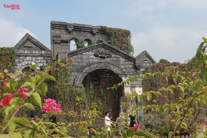 Lạc vào thảo nguyên hoa cổ tích giữa lòng Hà Nội - 8