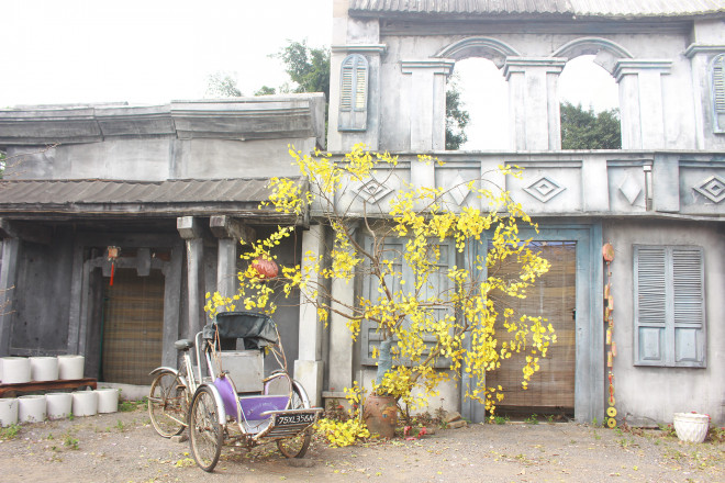 Lạc vào thảo nguyên hoa cổ tích giữa lòng Hà Nội - 13