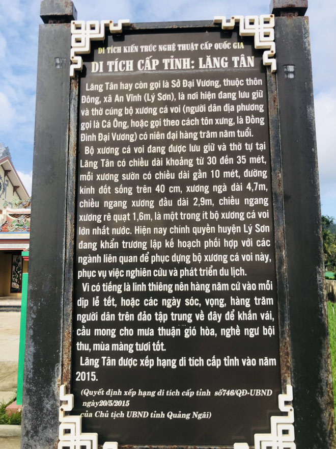 Cận hai bộ xương cá voi 300 năm tuổi ở đảo Lý Sơn - 6