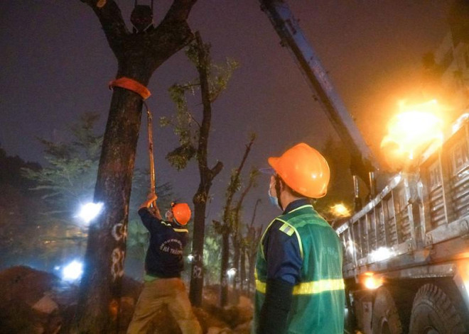 Hà Nội: Xuyên đêm di chuyển cây xanh trên đường Hoàng Quốc Việt dưới trời mưa - 2