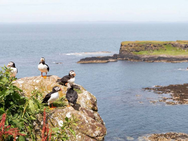 Điểm đến “đỉnh nhất” được chọn bởi 5 tác giả của những cuốn sách du lịch nổi tiếng - 7