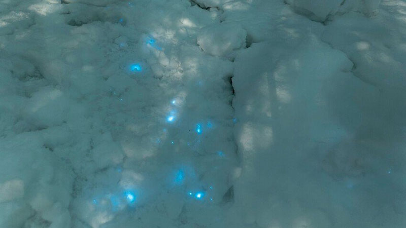 Tuyết phát quang màu xanh kỳ lạ ở Bắc Cực, cảnh tượng có 1-0-2 - 1