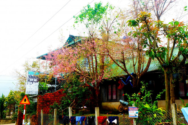 “Thành phố” hoa đào bung nở tuyệt đẹp ở một ngôi làng nhỏ bình yên 1641869681 picture 12 1641748808 290 width1600height1066 width1600height1066 “Thành phố” hoa đào bung nở tuyệt đẹp ở một ngôi làng nhỏ bình yên