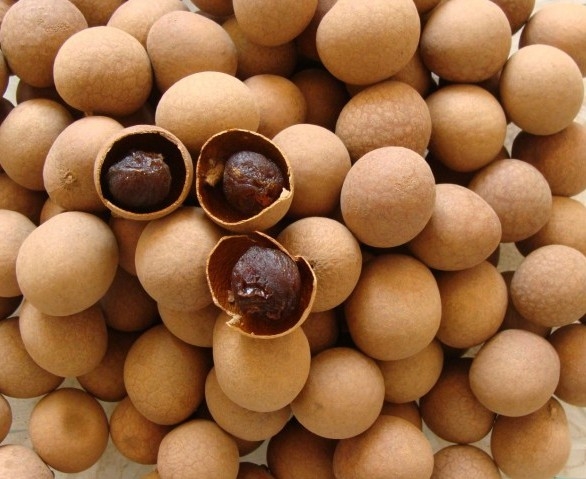 Muốn sống thọ, đừng bỏ qua 3 loại “thần dược” tự nhiên này - 3