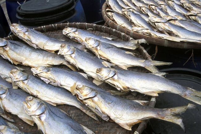 7 loại thực phẩm này rất dễ gây ung thư, đặc biệt có một loại cá được nhiều người thích ăn - 1