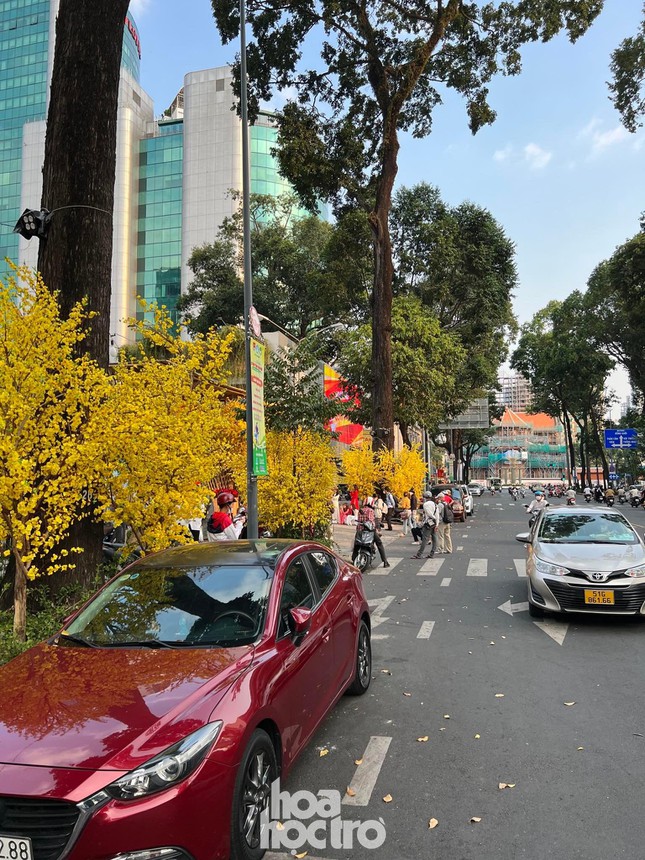 Giới trẻ TP.HCM nô nức rủ nhau diện đồ xinh xuống phố, Tết đang đến thật gần rồi! - 4