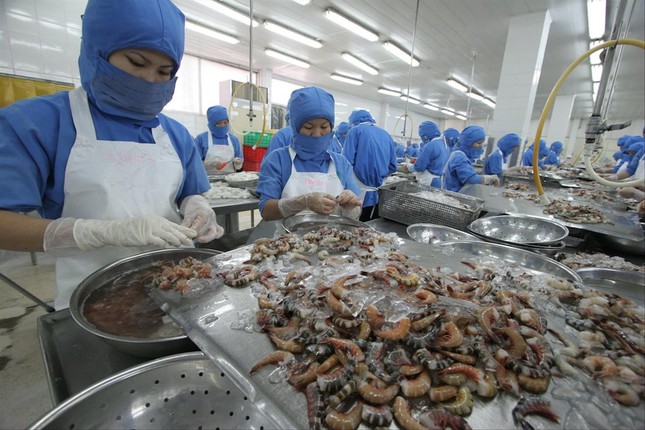 Quy định kiểm dịch vô lý, doanh nghiệp tốn trăm tỷ/năm - 1