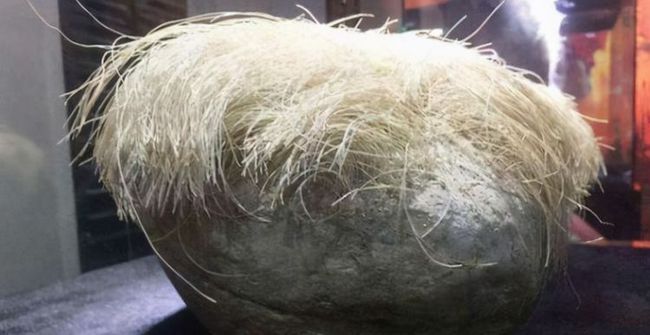 Người nông dân tìm được viên đá có “tóc trắng mọc trên đầu”, chuyên gia ngay lập tức phong tỏa cả làng - 1