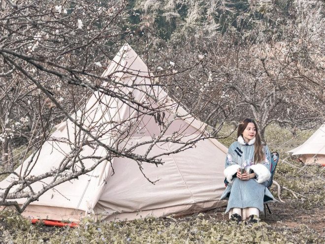 Hoa mận Mộc Châu nở trắng rừng, du khách tấp nập tới check-in - 3