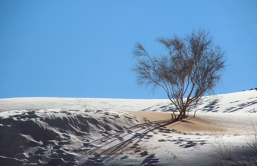 Tuyết rơi ở sa mạc Sahara, cảnh tượng hiếm gặp trong suốt hàng thế kỷ - 1