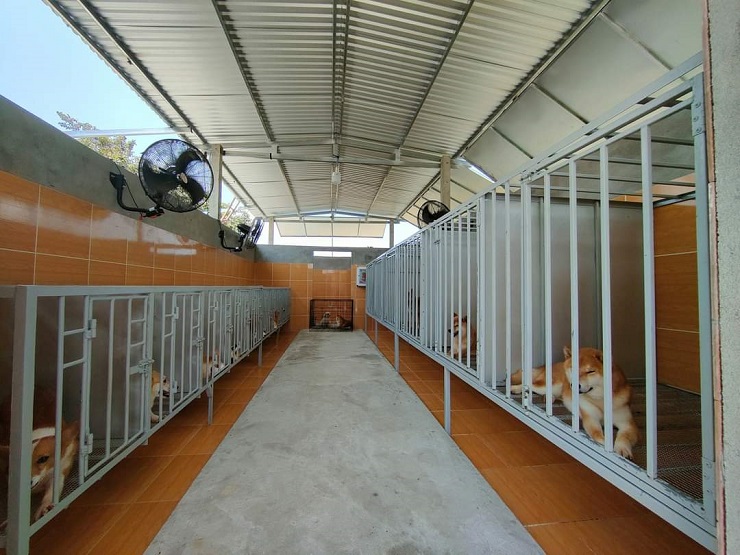 20 tuổi khởi nghiệp với 7 triệu đồng, giờ thu về 150 triệu đồng/tháng - 7