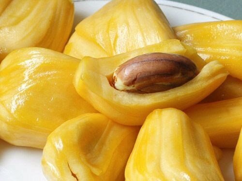 Quả mít có phần này cực quý, ai đã từng vứt bỏ nhất định tiếc hùi hụi - 5
