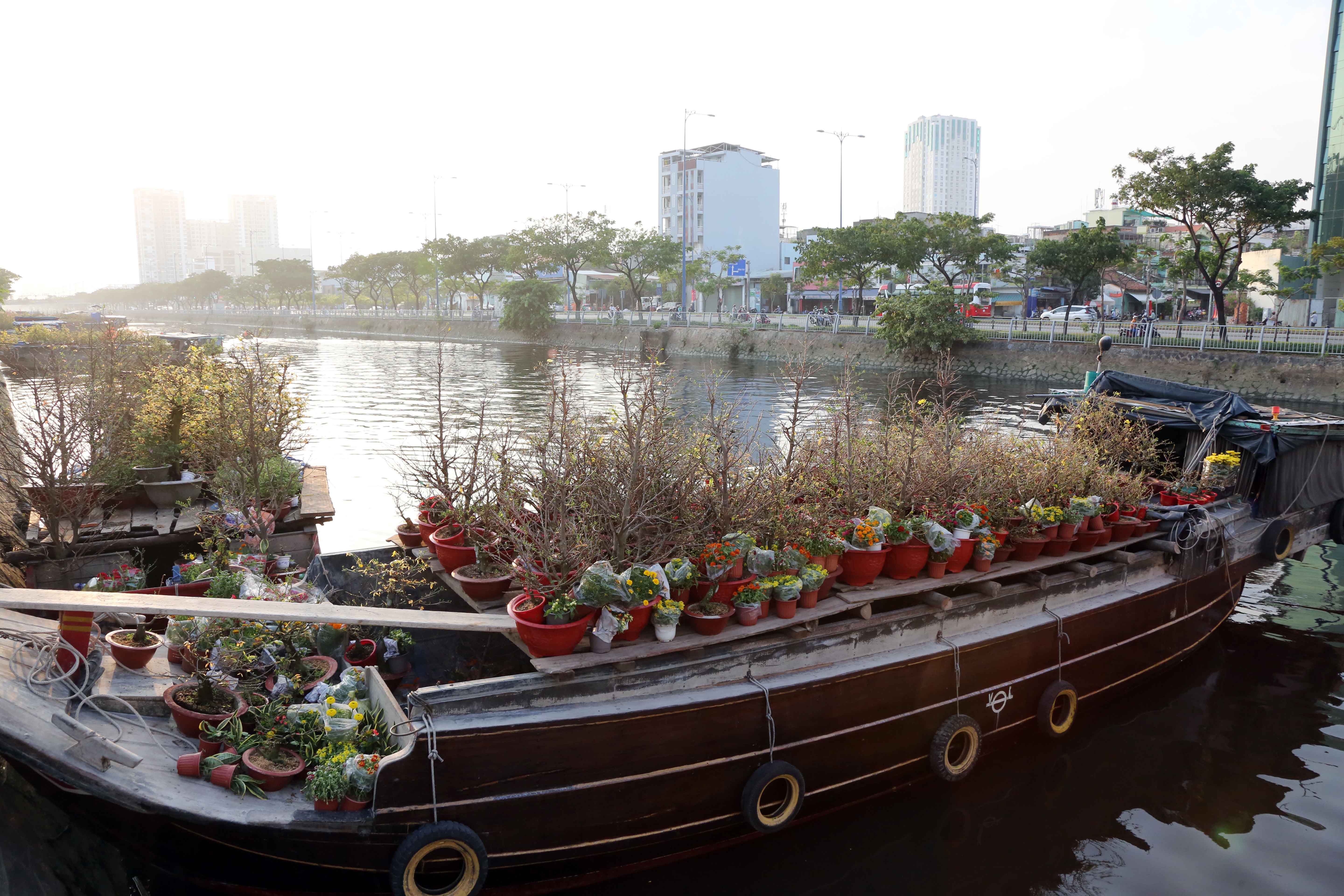 Rực rỡ sắc xuân tại chợ hoa “trên bến dưới thuyền” ở TP.HCM - 6
