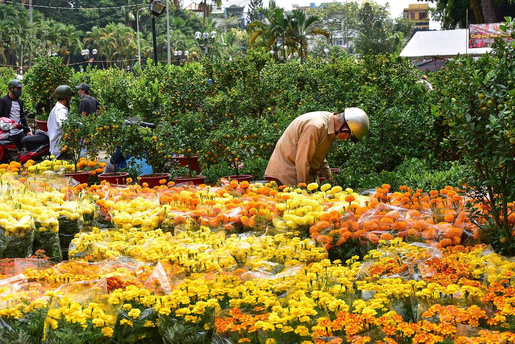 Chợ hoa Tết lớn nhất ở TP.HCM vắng khách, người báո nhiều hơn người mua - 16