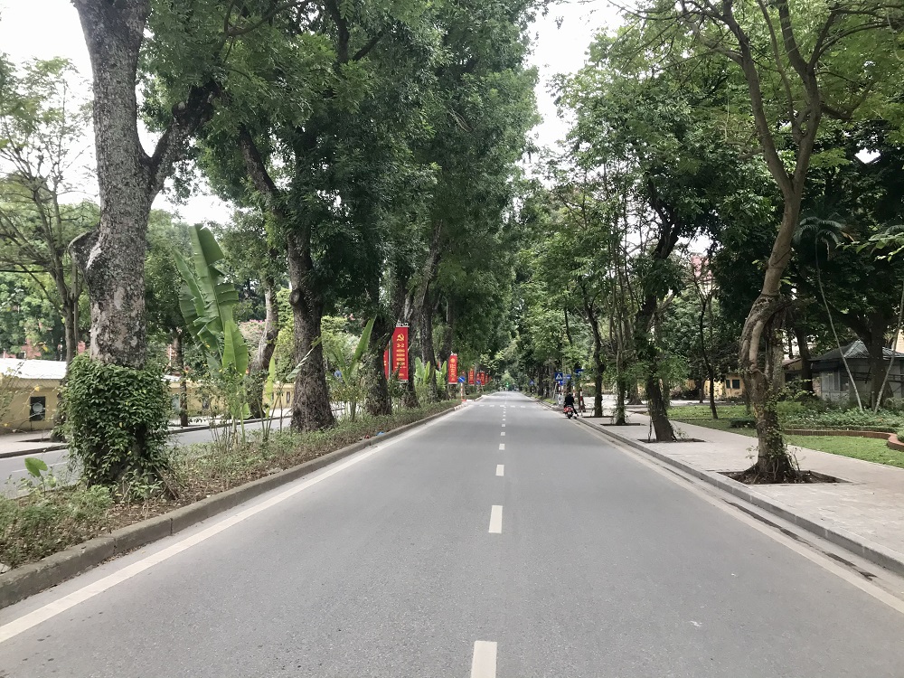 Vẻ tĩnh lặng, đẹp dịu dàng rất lạ của đường phố Hà Nội, TP.HCM sáng đầu năm mới - 12