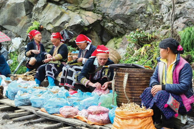 Phiên chợ hoa văn - 1