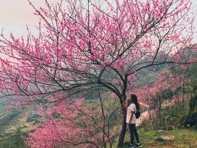 Hà Giang mùa xuân rồi, em sẽ quay lại chứ? - 4