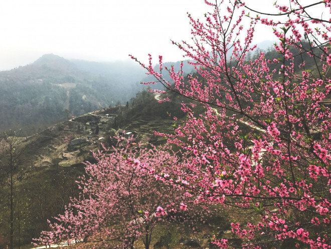 Hà Giang mùa xuân rồi, em sẽ quay lại chứ? - 5