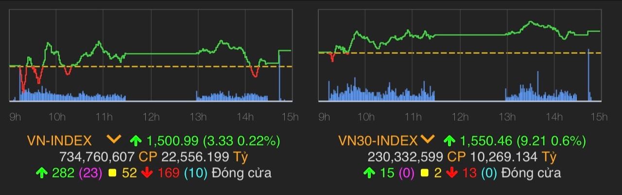 Sau chuỗi ngày tài sản bị bốc hơi, tỷ phú Trần Đình Long bất ngờ kiếm được số tiền "khủng" - 1