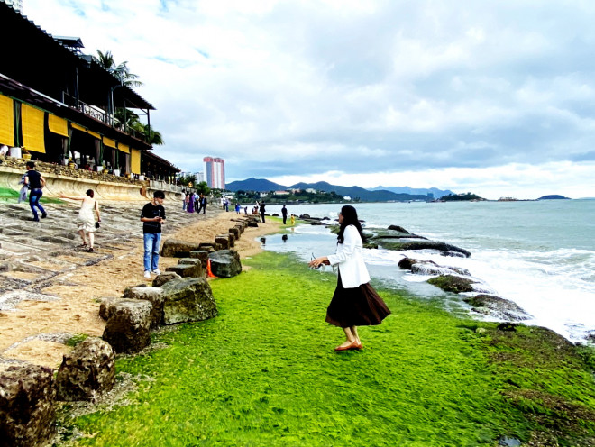 Thềm rêu xanh tuyệt đẹp ở Nha Trang hút khách đến check-in - 3