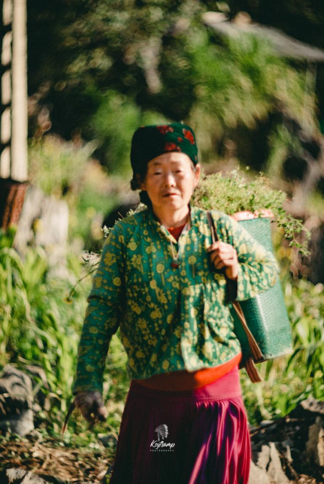 1644462018 1644210505 picture 23 1644210252 23 width767height1152 width767height1152 Ngày xuân, rủ nhau “lên cái hẹn” trên Lao Xa…