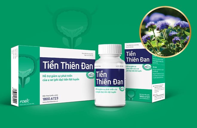 5 lý do Tiền Thiên Đan hiệu quả với bệnh phì đại tiền liệt tuyến - 1