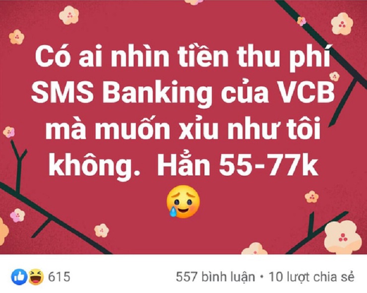 Cảnh báo chiêu trò giả danh ngân hàng hoàn tiền phí SMS sau loạt thông tin tăng phí “sốc” - 1