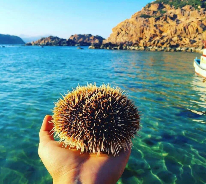 1645678165 1645541319 hon kho quy nhon 7 width960height856 Hít thở “vitamin sea“, lặn ngắm san hô, chinh phục núi đá tại Hòn Khô