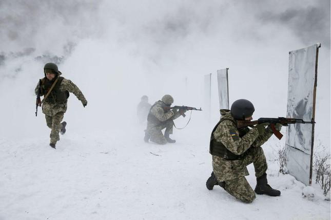 Quân đội Ukraine-Nga: Chim chích đấu bồ nông - 1