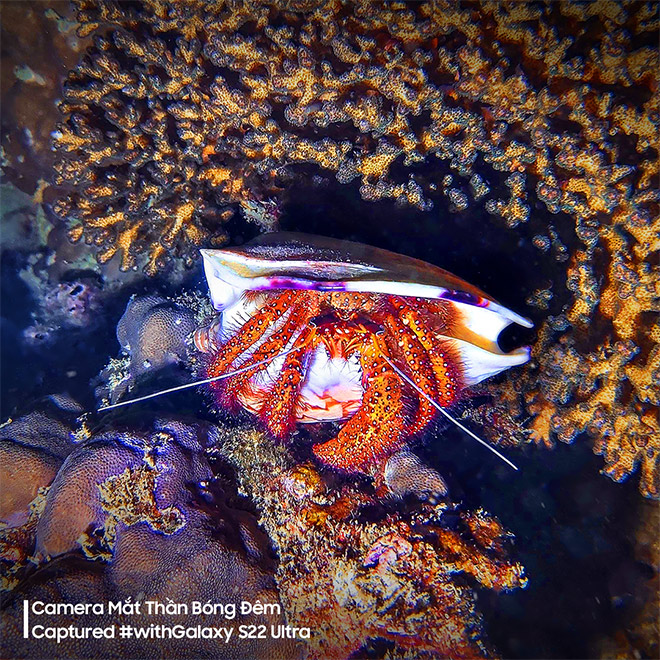 “Đại dương đêm phiêu lưu ký” cùng Blogger du lịch Zen Lê và Samsung S22 Ultra - 3