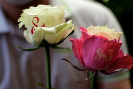 Cận kề ngày 8/3: Giá hoa tươi tăng mạnh, cành hoa hồng in chữ độc lạ hút khách