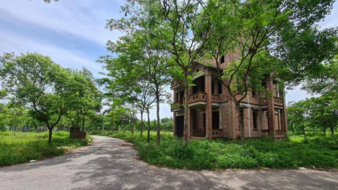 Bất động sản bỏ hoang: Nên mạnh tay thu thuế, xử phạt - 1