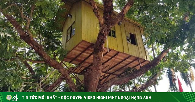 Read more about the article Kỳ lạ những ngôi nhà “treo” trên cây “quái dị” nhất Việt Nam
